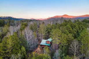 239 Ernest Alta Circle, Blue Ridge, GA 30513 - Photo 53