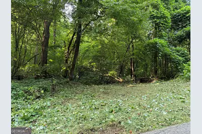 0 Tuts Mountain Road, Clayton, GA 30525 - Photo 3