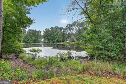170 Nix Court, Fayetteville, GA 30214 - Photo 3