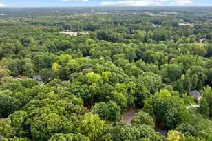505 Barstone Pl, Peachtree City, GA 30269 - Photo 61