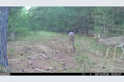 1419 Bobby Brown State Park Road, Elberton, GA 30635 - Photo 103