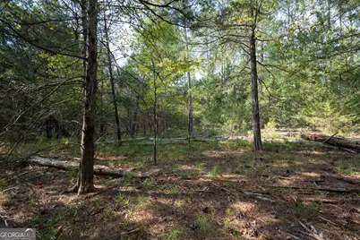 1419 Bobby Brown State Park Road, Elberton, GA 30635 - Photo 81
