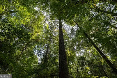 1419 Bobby Brown State Park Road, Elberton, GA 30635 - Photo 19
