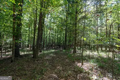 1419 Bobby Brown State Park Road, Elberton, GA 30635 - Photo 49