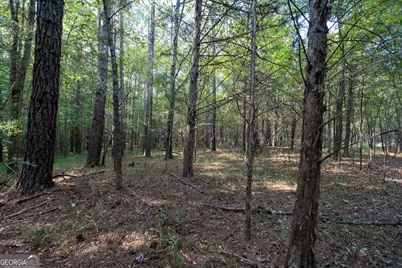 1419 Bobby Brown State Park Road, Elberton, GA 30635 - Photo 79