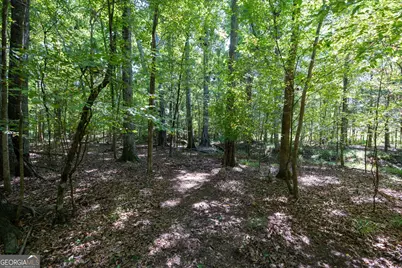 1419 Bobby Brown State Park Road, Elberton, GA 30635 - Photo 69