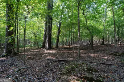1419 Bobby Brown State Park Road, Elberton, GA 30635 - Photo 75