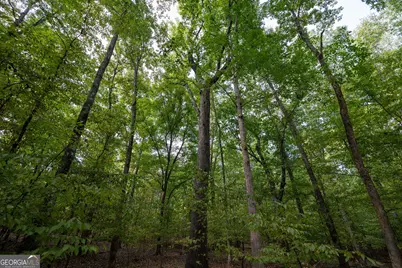 1419 Bobby Brown State Park Road, Elberton, GA 30635 - Photo 61