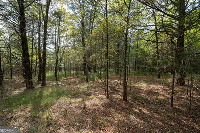 1419 Bobby Brown State Park Road, Elberton, GA 30635 - Photo 35