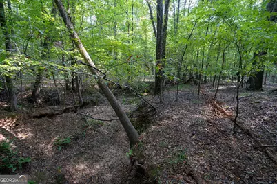 1419 Bobby Brown State Park Road, Elberton, GA 30635 - Photo 67