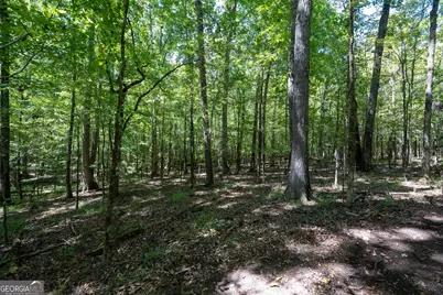 1419 Bobby Brown State Park Road, Elberton, GA 30635 - Photo 83