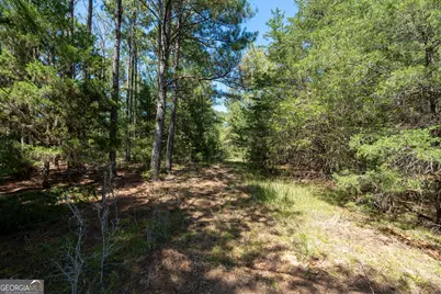 1419 Bobby Brown State Park Road, Elberton, GA 30635 - Photo 89