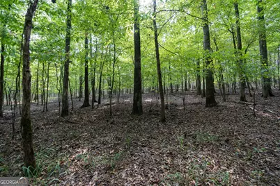1419 Bobby Brown State Park Road, Elberton, GA 30635 - Photo 63