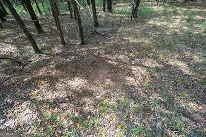 1419 Bobby Brown State Park Road, Elberton, GA 30635 - Photo 37