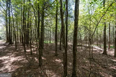 1419 Bobby Brown State Park Road, Elberton, GA 30635 - Photo 33