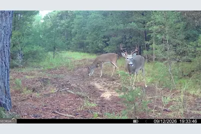 1419 Bobby Brown State Park Road, Elberton, GA 30635 - Photo 5