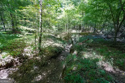 1419 Bobby Brown State Park Road, Elberton, GA 30635 - Photo 73
