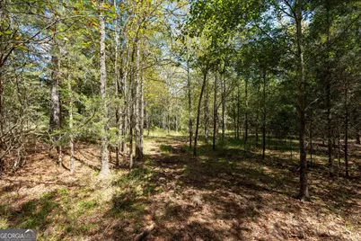 1419 Bobby Brown State Park Road, Elberton, GA 30635 - Photo 85