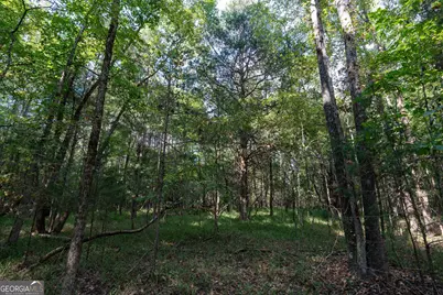 1419 Bobby Brown State Park Road, Elberton, GA 30635 - Photo 77
