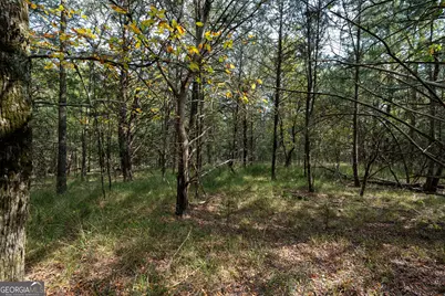 1419 Bobby Brown State Park Road, Elberton, GA 30635 - Photo 43