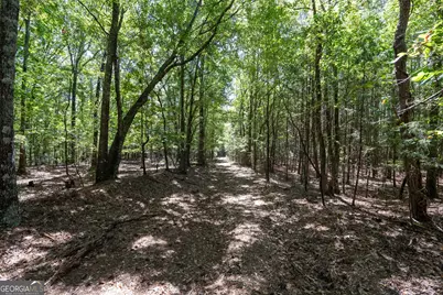 1419 Bobby Brown State Park Road, Elberton, GA 30635 - Photo 23