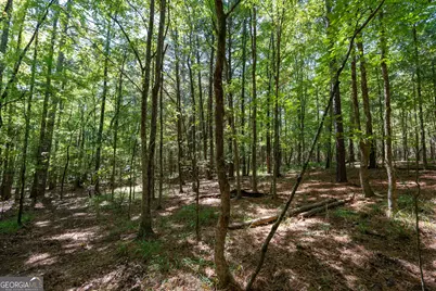 1419 Bobby Brown State Park Road, Elberton, GA 30635 - Photo 51