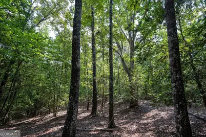 1419 Bobby Brown State Park Road, Elberton, GA 30635 - Photo 25