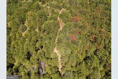 1419 Bobby Brown State Park Road, Elberton, GA 30635 - Photo 11