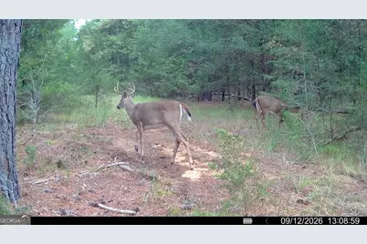 1419 Bobby Brown State Park Road, Elberton, GA 30635 - Photo 95