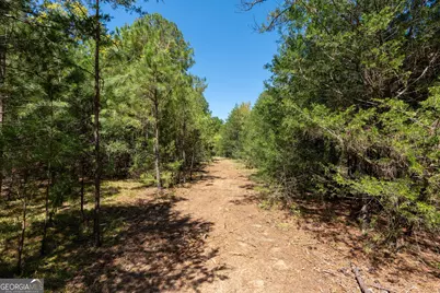 1419 Bobby Brown State Park Road, Elberton, GA 30635 - Photo 87