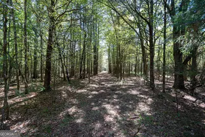 1419 Bobby Brown State Park Road, Elberton, GA 30635 - Photo 31