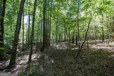 1419 Bobby Brown State Park Road, Elberton, GA 30635 - Photo 57