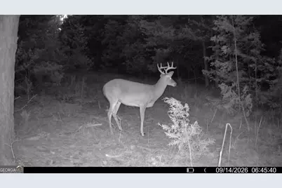 1419 Bobby Brown State Park Road, Elberton, GA 30635 - Photo 101