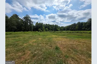 177 Bidne Drive, Senoia, GA 30276 - Photo 57