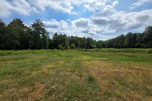 177 Bidne Dr, Senoia, GA 30276 - Photo 57