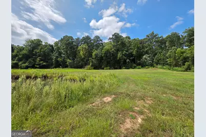 177 Bidne Drive, Senoia, GA 30276 - Photo 61