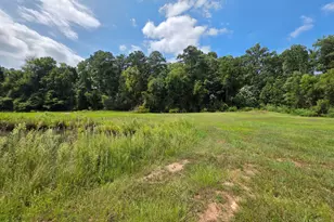 177 Bidne Dr, Senoia, GA 30276 - Photo 61