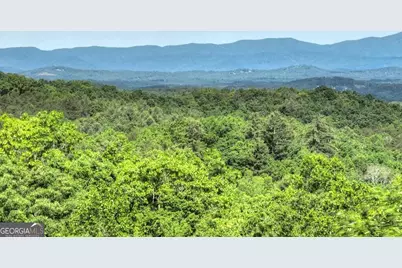 54 Channing Hollow, Morganton, GA 30560 - Photo 3