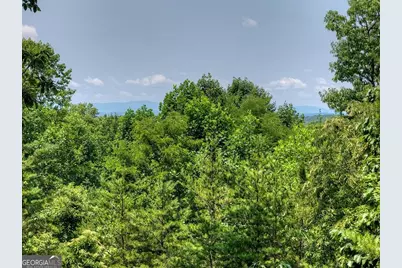 54 Channing Hollow, Morganton, GA 30560 - Photo 41