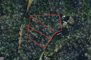 85 Mutzu Ln, East Ellijay, GA 30540 - Photo 1