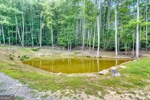 1026 Laurel Branch Rd, Hayesville, NC 28904 - Photo 23