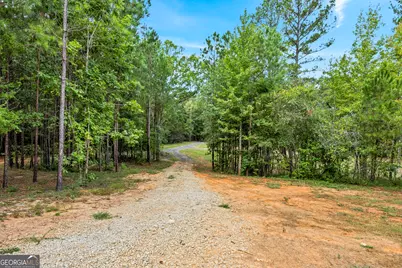 106 Hodges Farm Road, Mansfield, GA 30055 - Photo 47