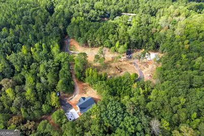 106 Hodges Farm Road, Mansfield, GA 30055 - Photo 45
