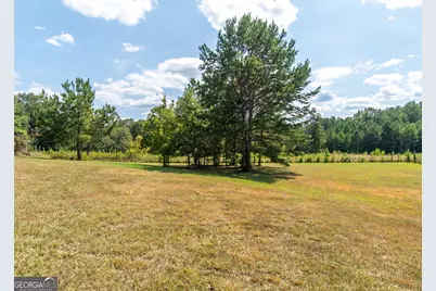 1136 Mt Carmel Road, Newnan, GA 30263 - Photo 45