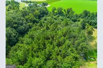3038 Armor Road, Patterson, GA 31557 - Photo 25