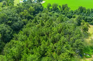 3038 Armor Rd, Patterson, GA 31557 - Photo 25