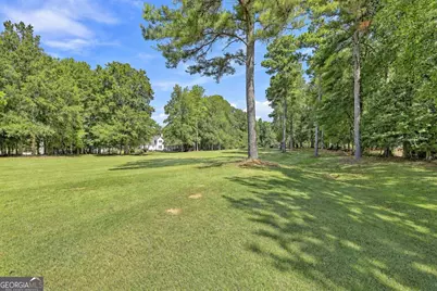 67 Redlevel Walk, Newnan, GA 30265 - Photo 59