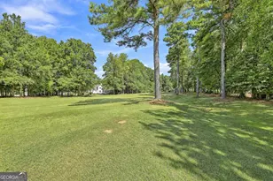67 Redlevel Walk, Newnan, GA 30265 - Photo 59