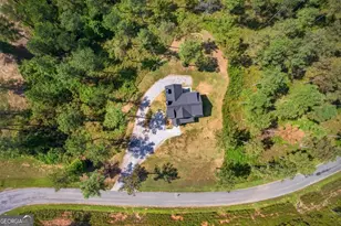 1068 High River Rd, Ellijay, GA 30540 - Photo 7