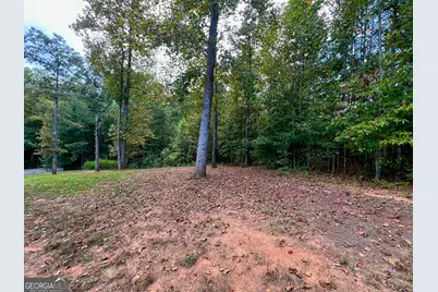1652 Sweetwater Juno Road, Dawsonville, GA 30534 - Photo 55